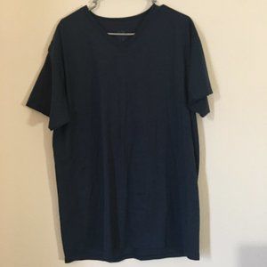 (NEW) Fruit of the Loom Platinum V-Neck Shirt